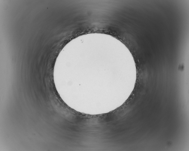X0000112050769200909151002