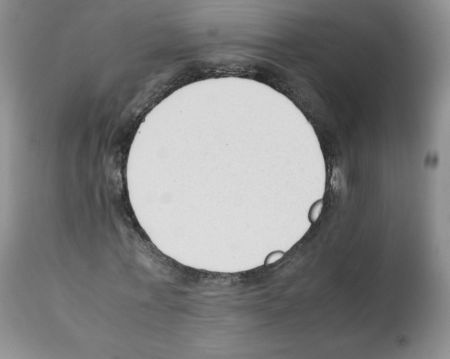 X0000112050771200909151001