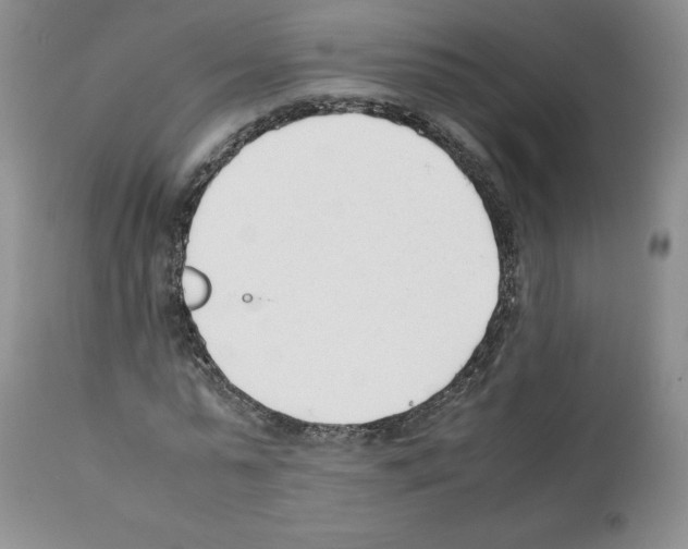 X0000112050775200909151001
