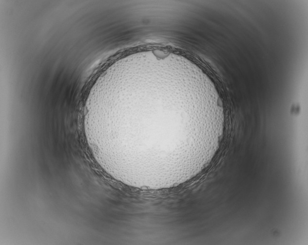 X0000112050776200909151001