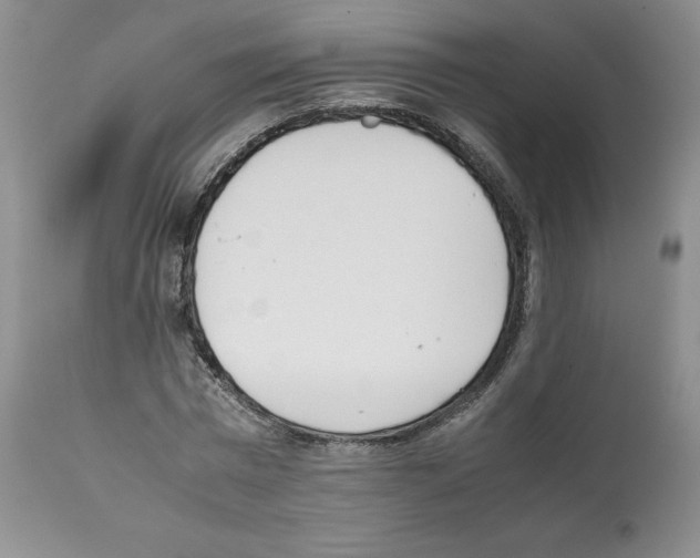 X0000112050777200909151001