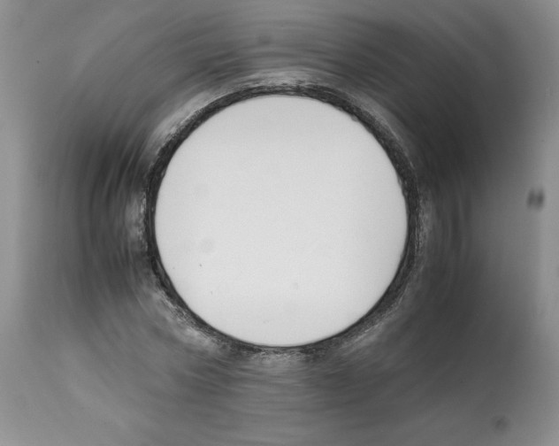 X0000112050778200909151001