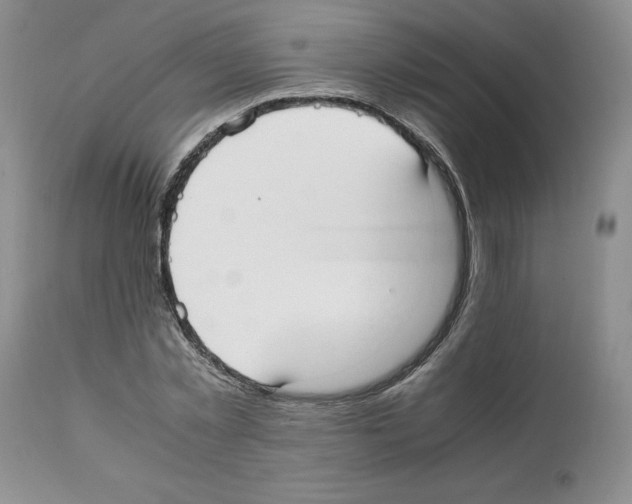 X0000112050781200909151001