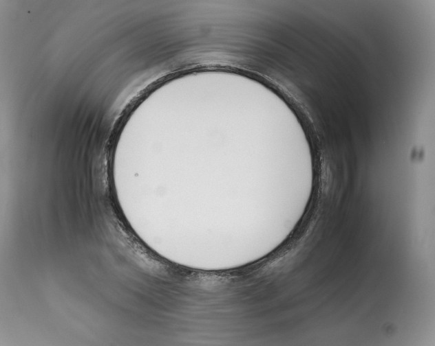 X0000112050782200909151001