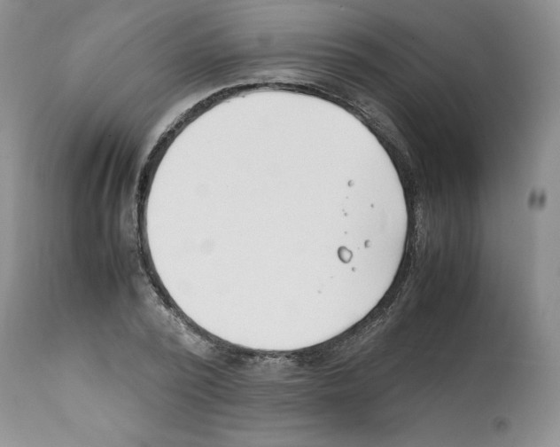 X0000112050784200909151001