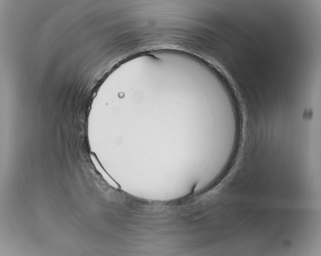 X0000112050785200909151001
