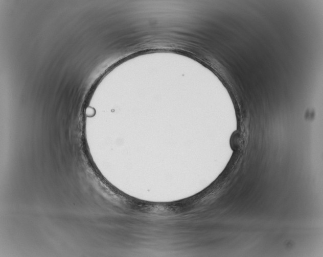 X0000112050787200909151001
