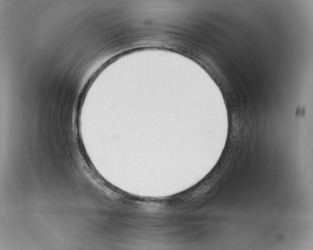 X0000112050788200909151001