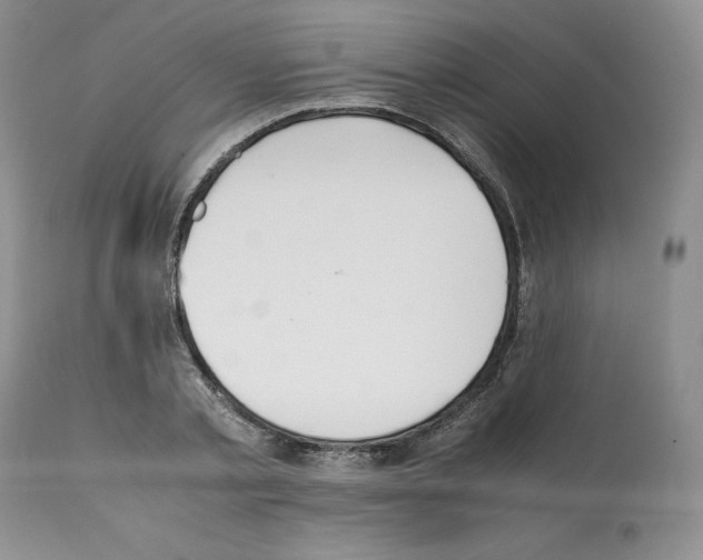 X0000112050789200909151001
