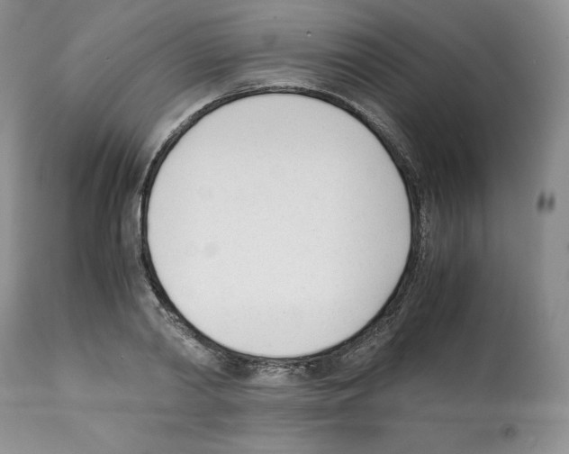 X0000112050790200909151001