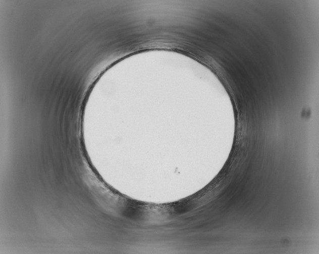 X0000112050795200909151001
