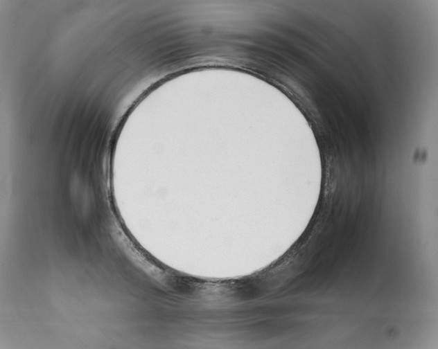 X0000112050796200909151001