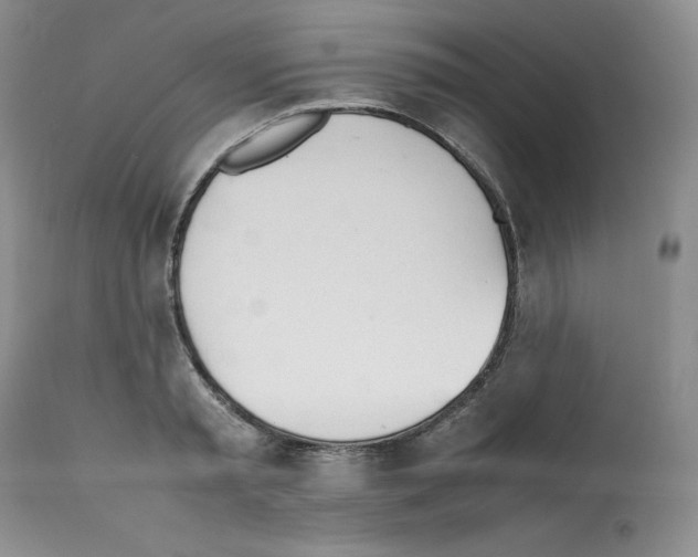 X0000112050797200909151001