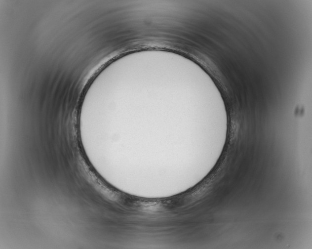X0000112050798200909151001