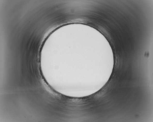 X0000112050800200909151001