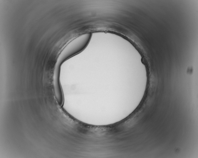 X0000112050801200909151001