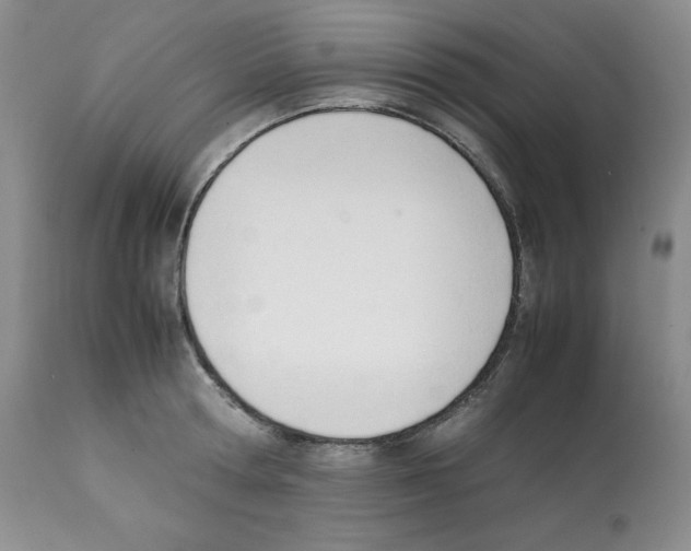 X0000112050802200909151001