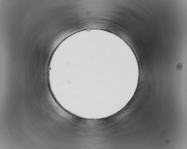 X0000112050803200909151001