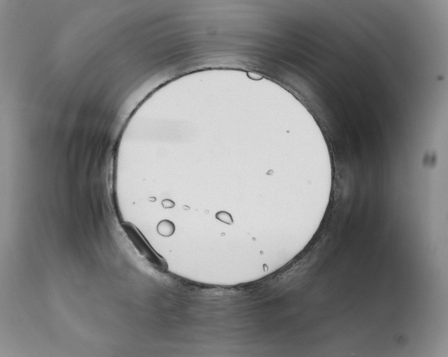 X0000112050804200909151001