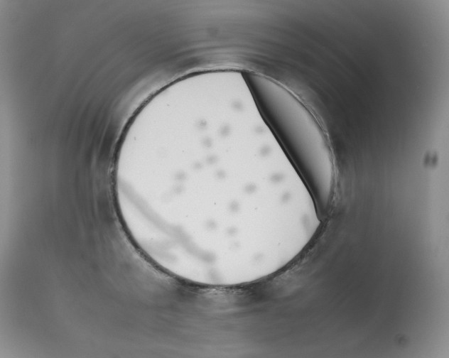 X0000112050805200909151001