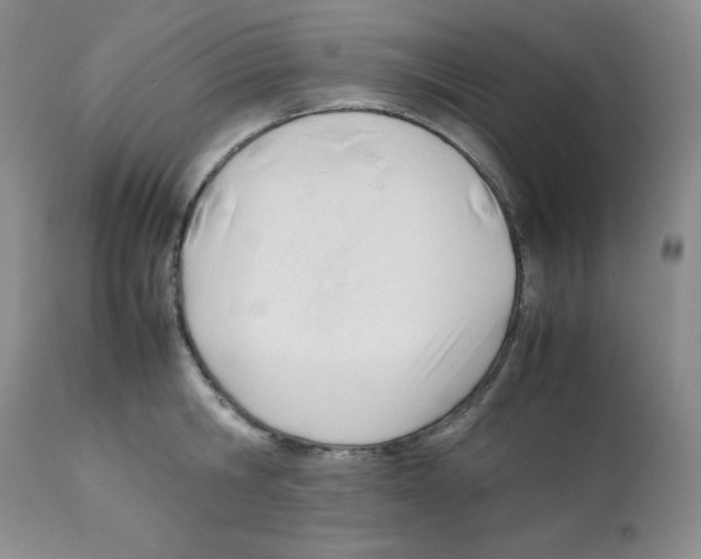 X0000112050806200909151001