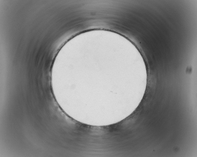 X0000112050807200909151001