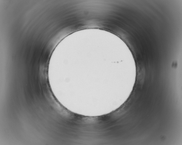X0000112050810200909151001