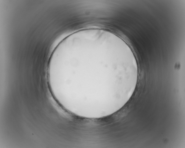 X0000112050811200909151001