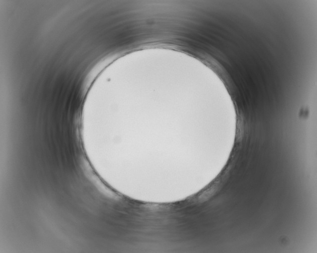 X0000112050812200909151001