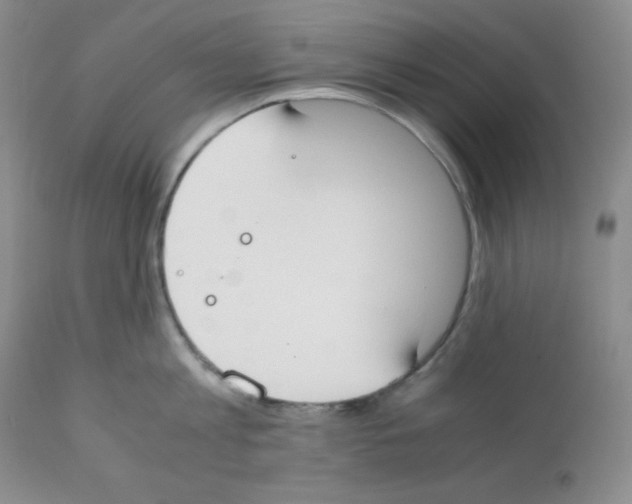 X0000112050813200909151001