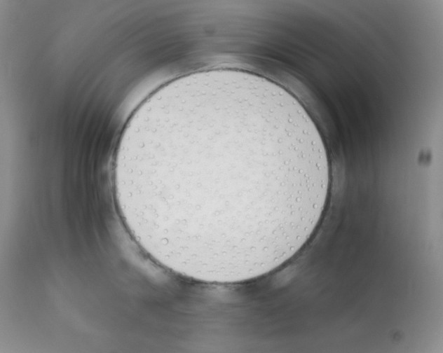 X0000112050814200909151001
