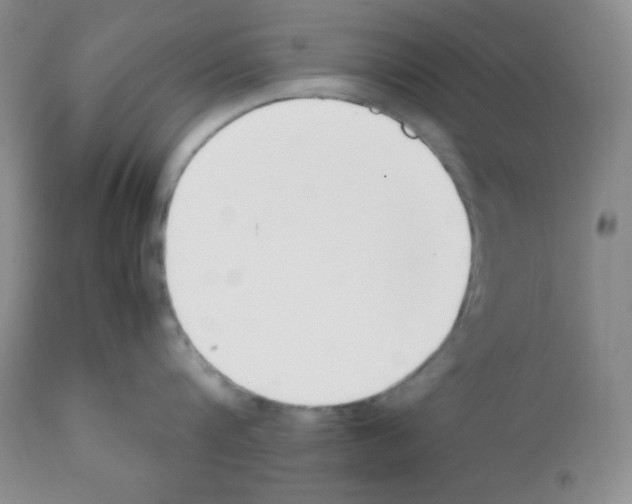X0000112050816200909151001