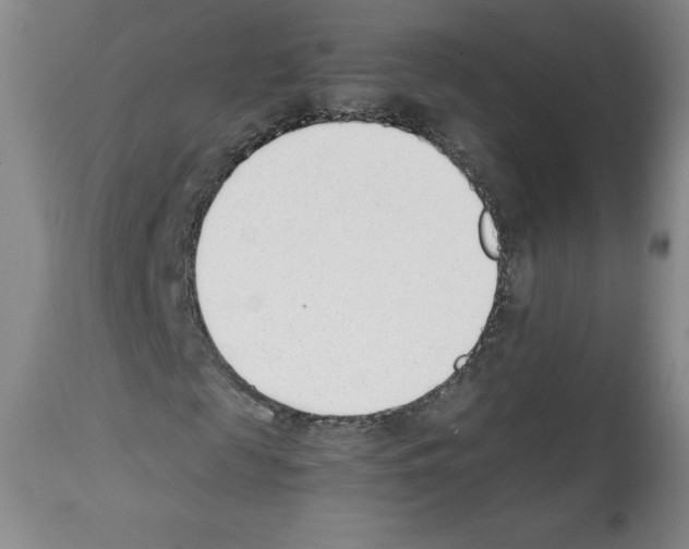 X0000112050817200909151000