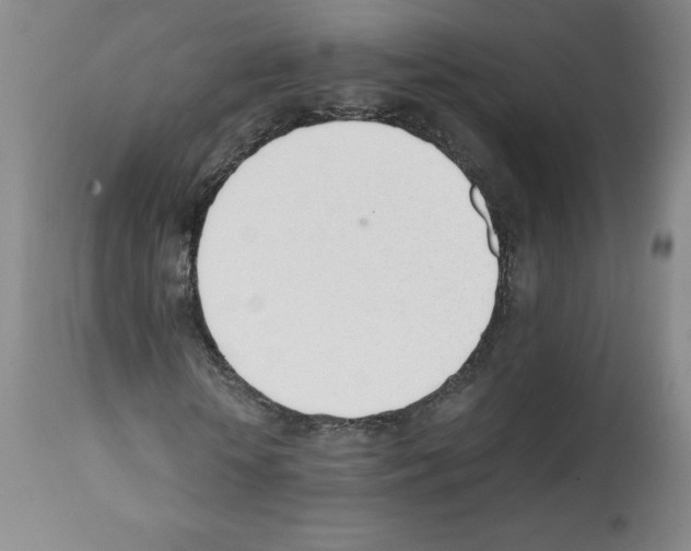 X0000112050818200909151000