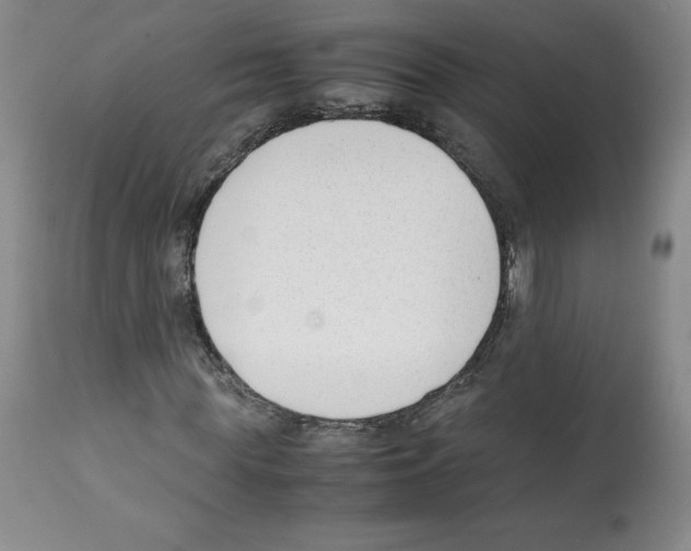 X0000112050819200909151000