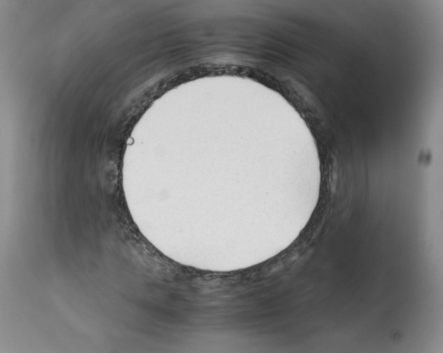 X0000112050821200909151000