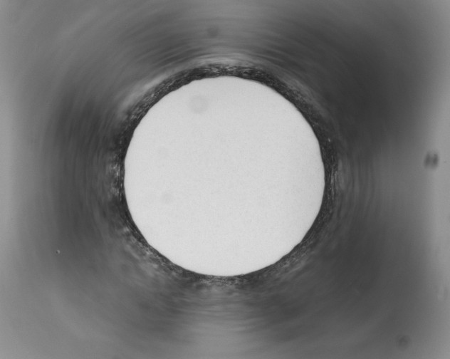 X0000112050822200909151000