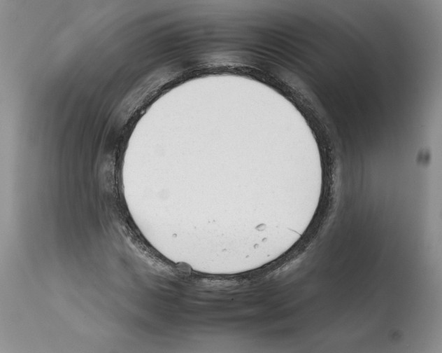 X0000112050825200909151000