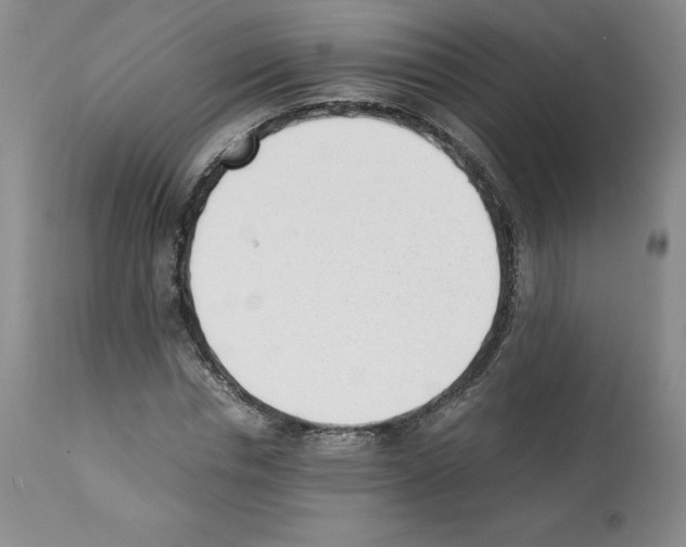 X0000112050826200909151000