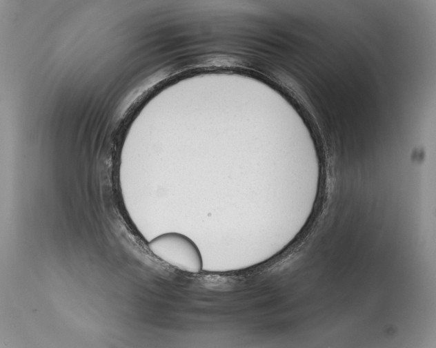 X0000112050827200909151000
