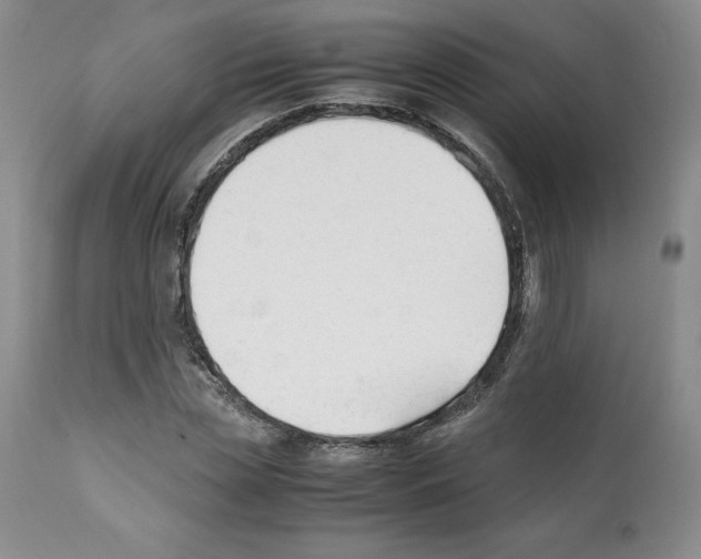 X0000112050829200909151000
