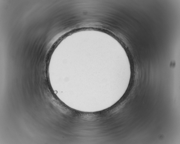 X0000112050830200909151000