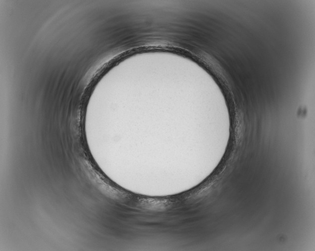 X0000112050831200909151000