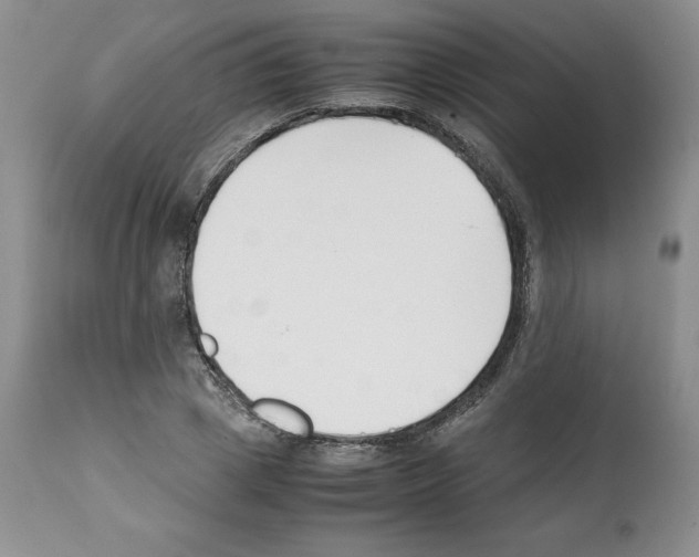X0000112050833200909151000