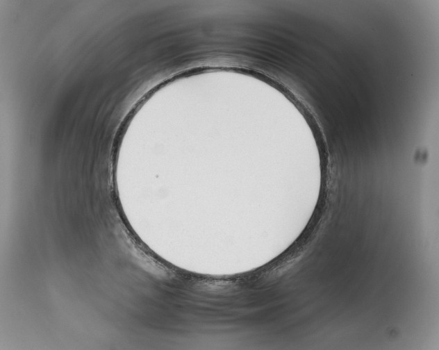 X0000112050837200909151000