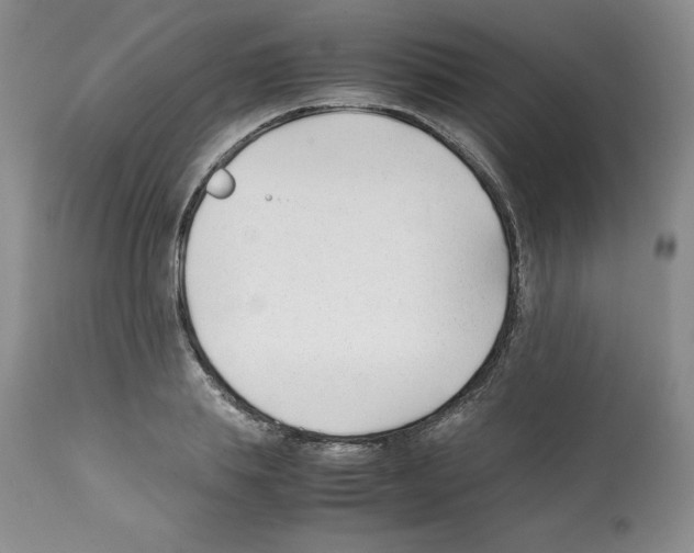 X0000112050839200909151001