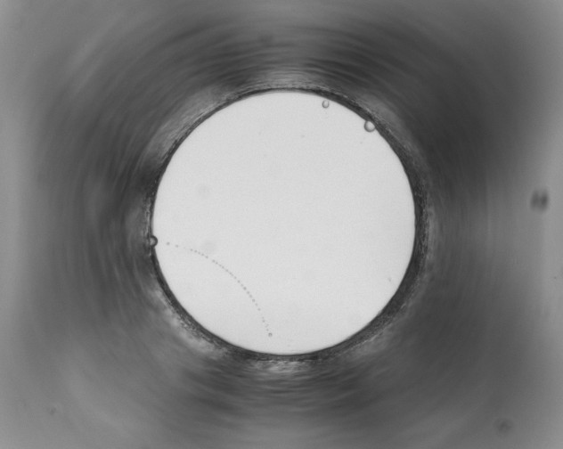 X0000112050841200909151001