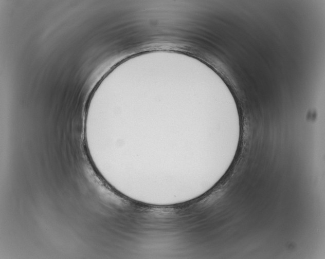 X0000112050844200909151001