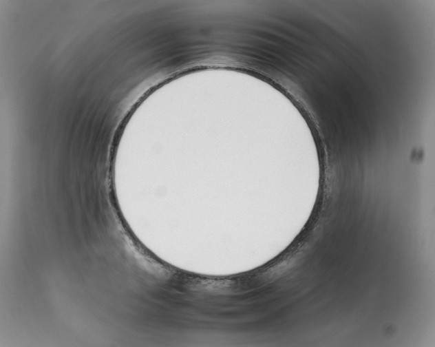 X0000112050845200909151001