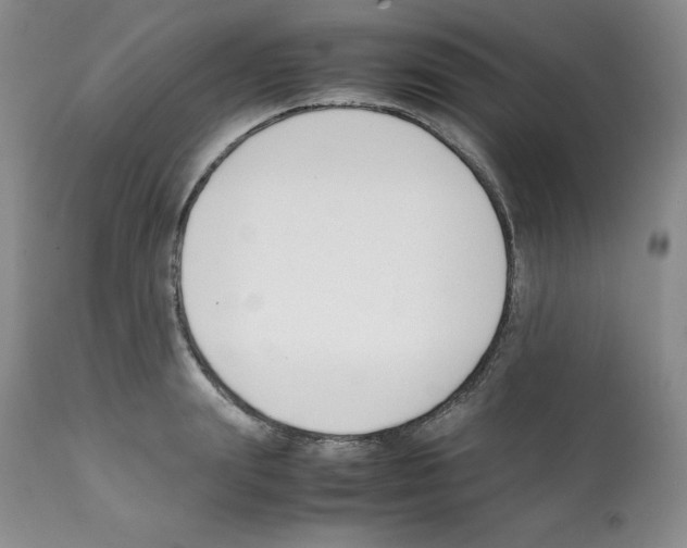 X0000112050847200909151001